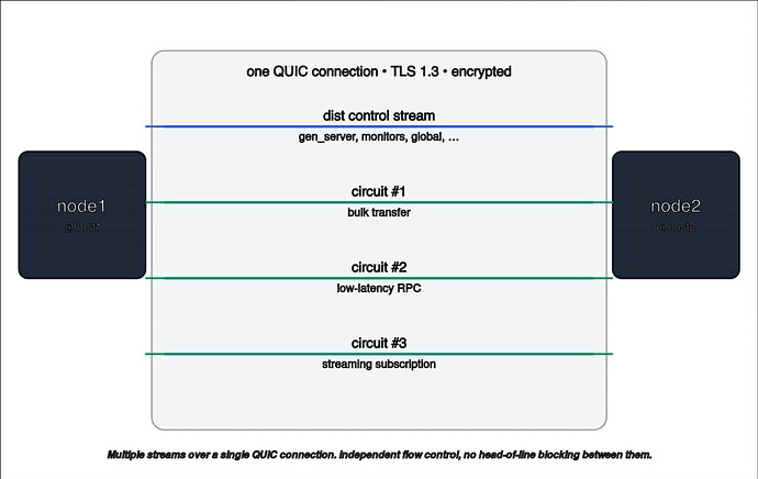 quic_dist_circuits